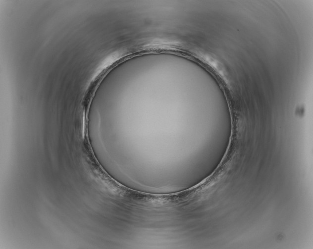 X0000091591219200709101033