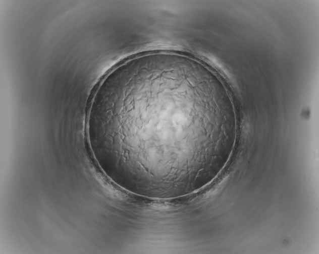 X0000091591220200709101033