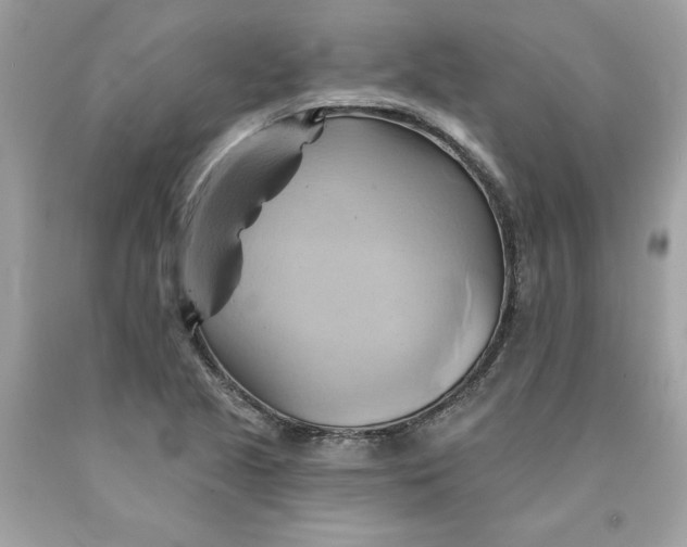 X0000091591221200709101033