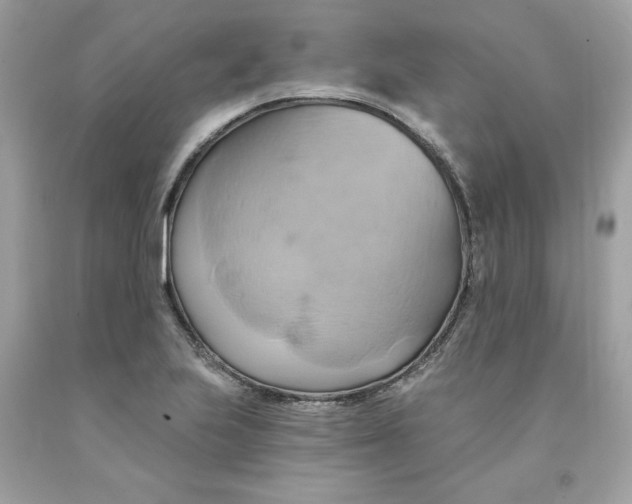 X0000091591223200709101033