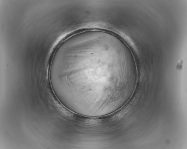 X0000091591224200709101033