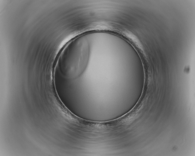 X0000091591226200709101033