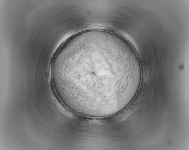 X0000091591227200709101033