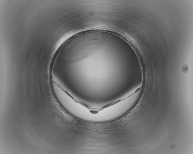 X0000091591230200709101033