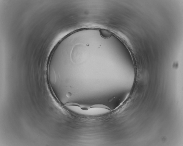 X0000091591231200709101033