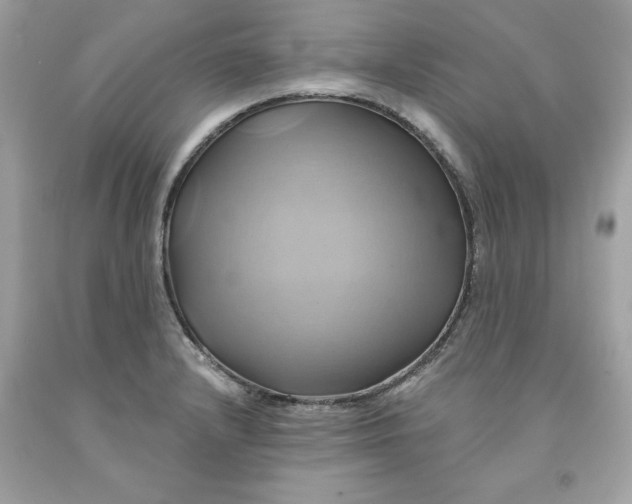 X0000091591232200709101033