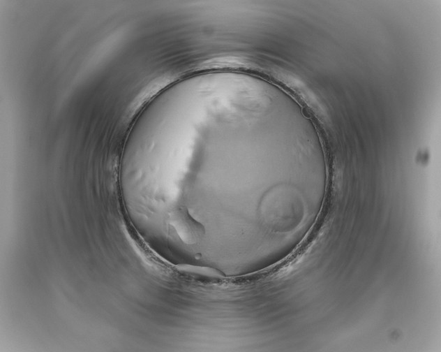 X0000091591233200709101033