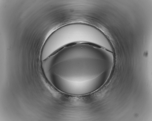 X0000091591234200709101033