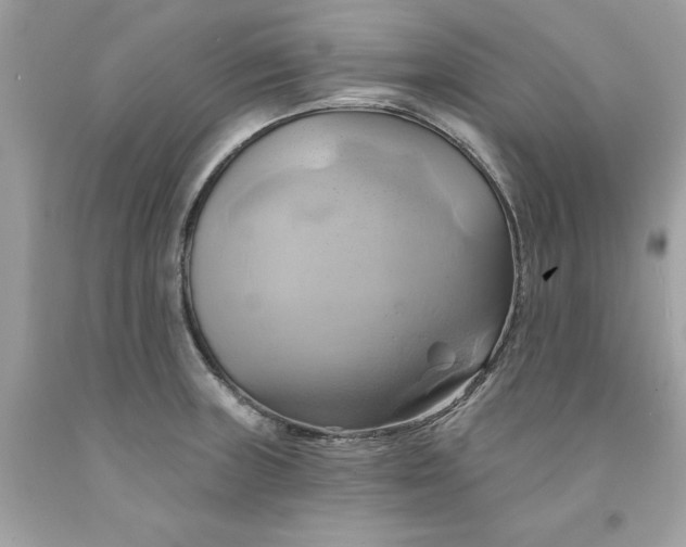 X0000091591235200709101033