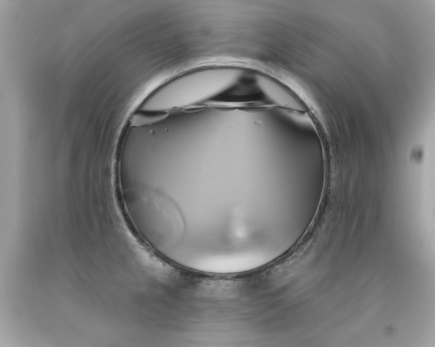 X0000091591237200709101033