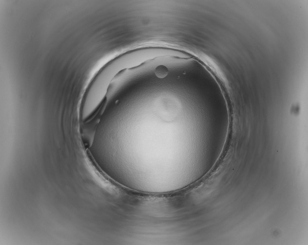 X0000091591238200709101033