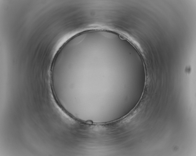 X0000091591239200709101033