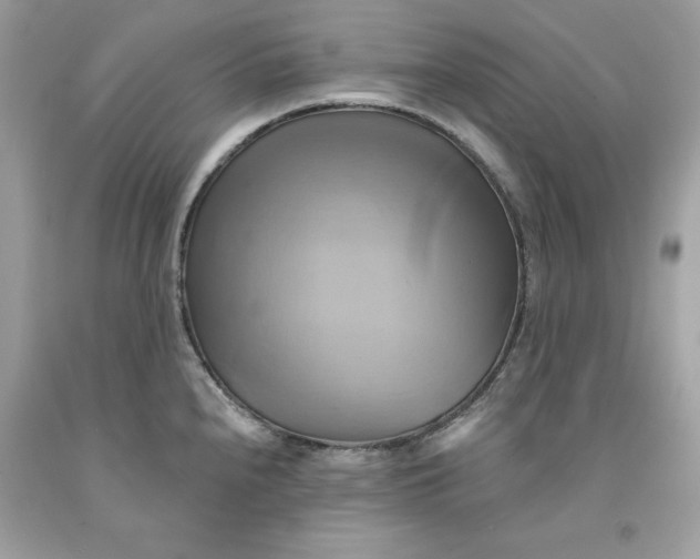 X0000091591240200709101033