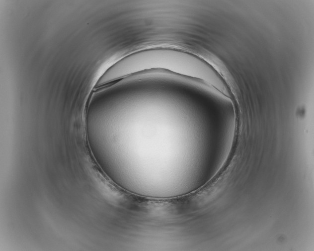 X0000091591242200709101034