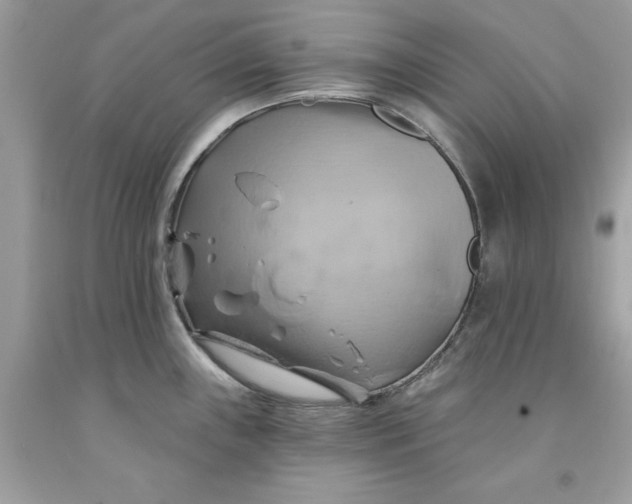 X0000091591243200709101034