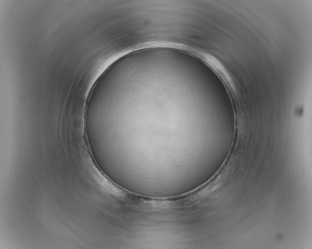 X0000091591244200709101034