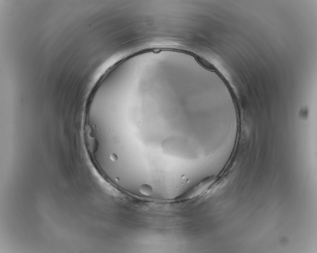 X0000091591245200709101034