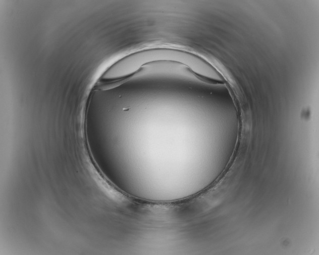 X0000091591246200709101034