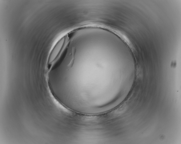 X0000091591247200709101034