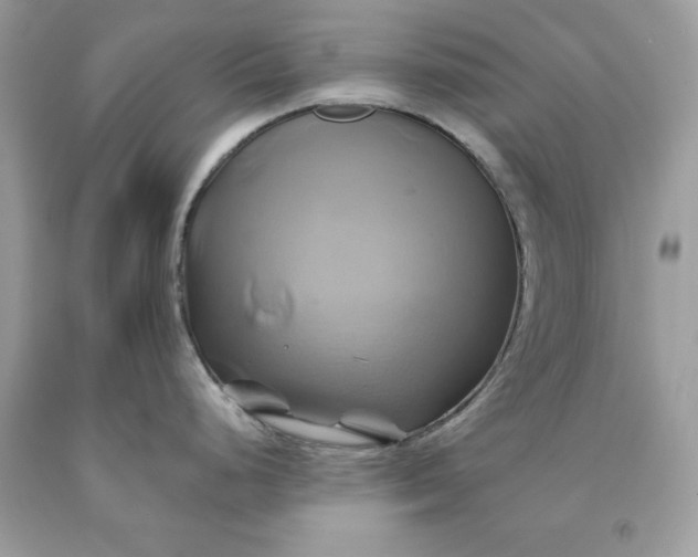 X0000091591248200709101034