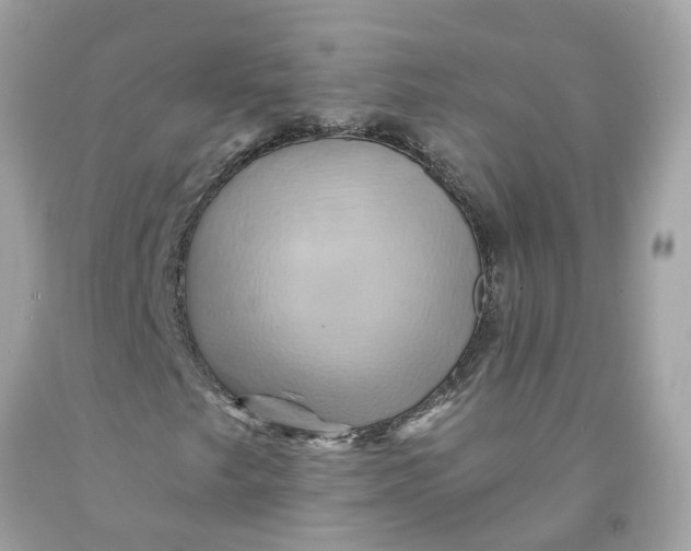 X0000091591249200709101033