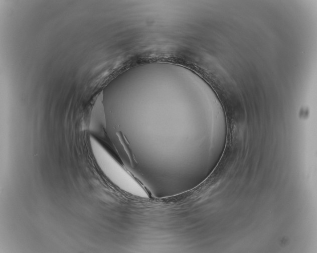 X0000091591250200709101033