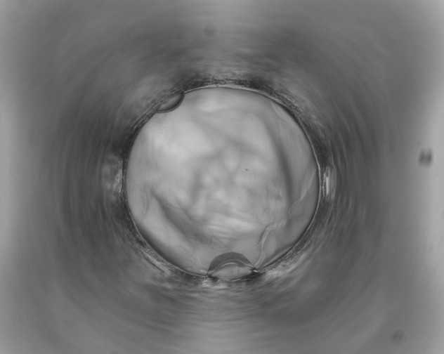 X0000091591251200709101033