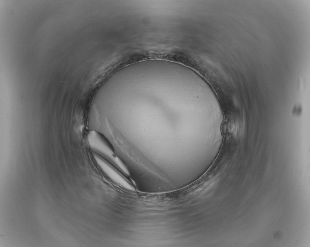 X0000091591252200709101033