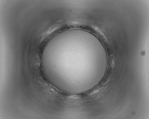 X0000091591253200709101033