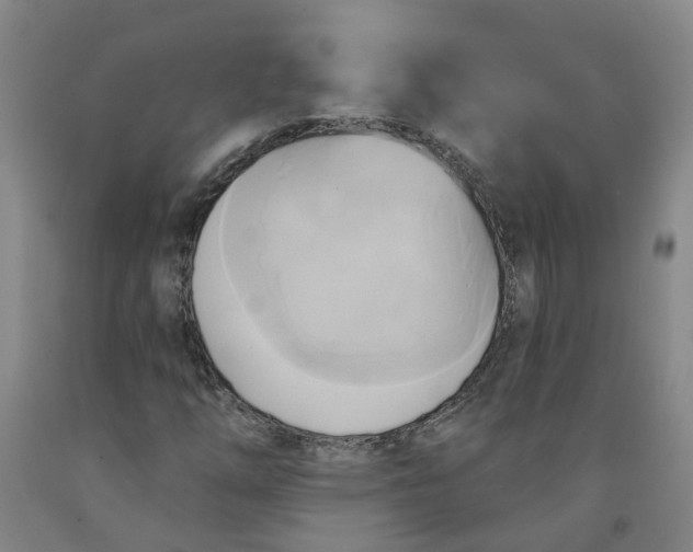 X0000091591254200709101033