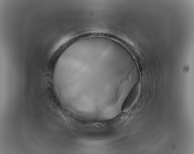 X0000091591255200709101033