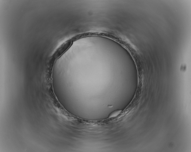 X0000091591256200709101033