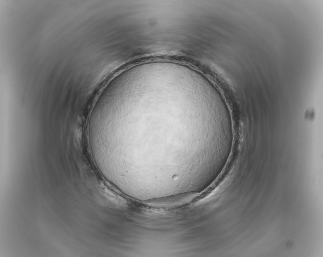 X0000091591257200709101033