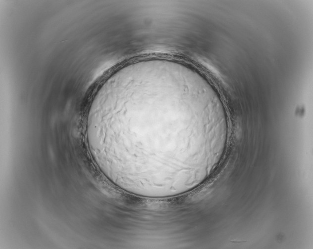 X0000091591258200709101033