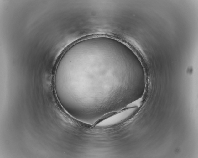 X0000091591260200709101033