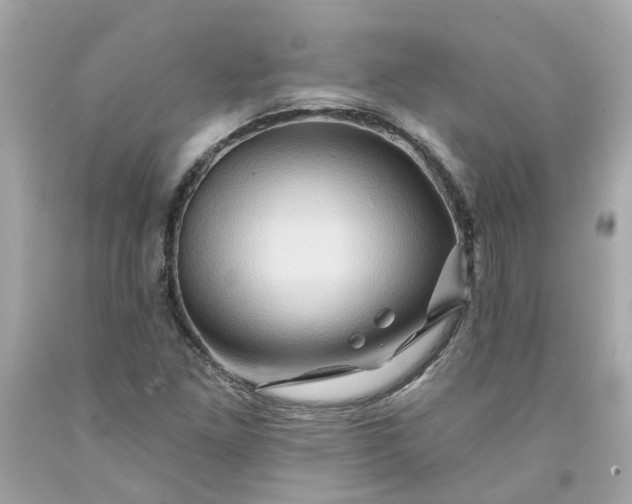 X0000091591261200709101033