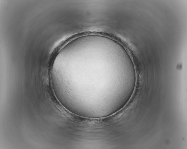 X0000091591262200709101033