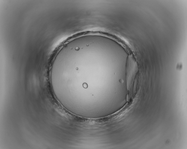 X0000091591263200709101033