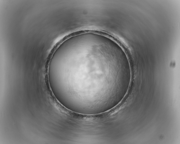 X0000091591264200709101033