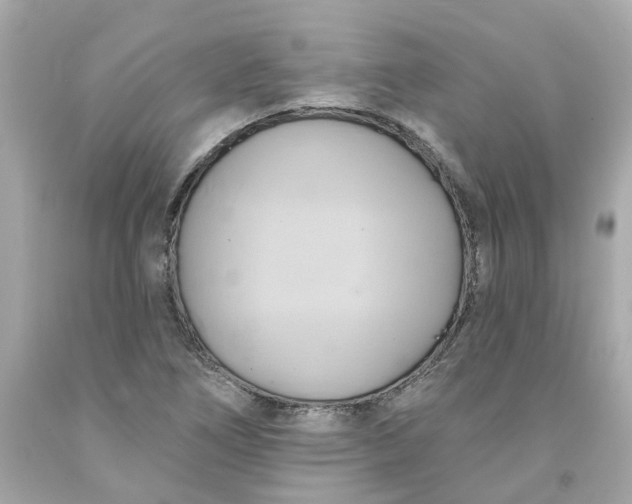 X0000091591266200709101033