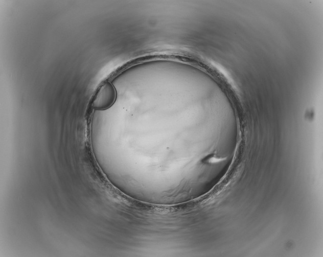 X0000091591267200709101033