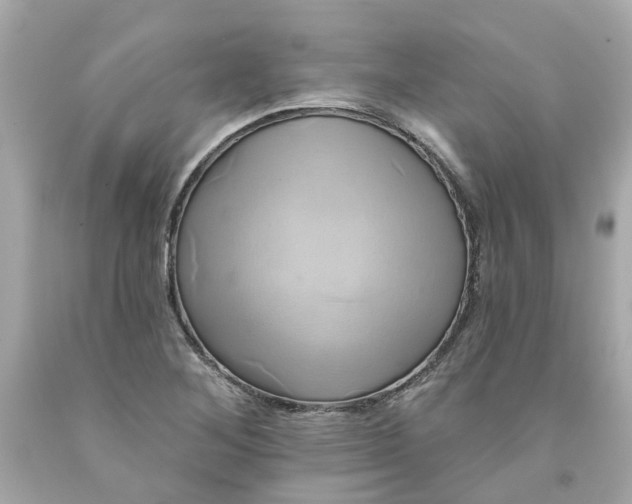 X0000091591268200709101033