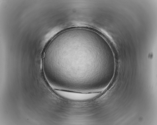 X0000091591269200709101033