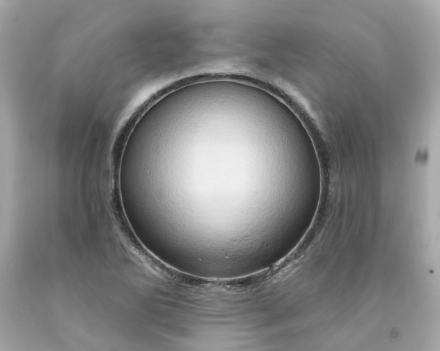 X0000091591270200709101033