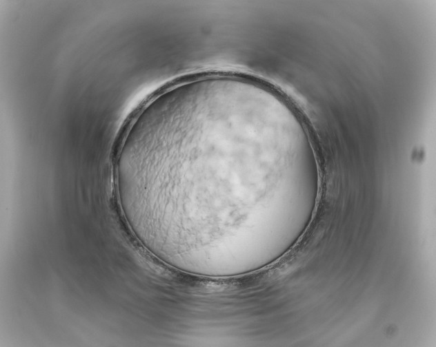 X0000091591271200709101033