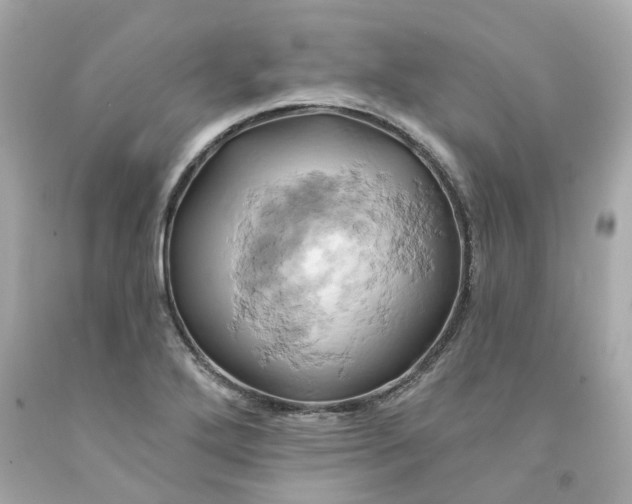 X0000091591272200709101033