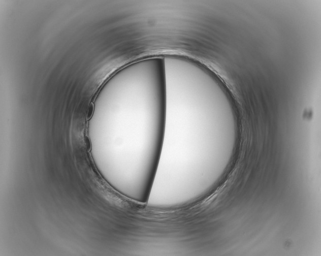 X0000091591273200709101033