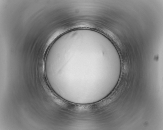 X0000091591274200709101033