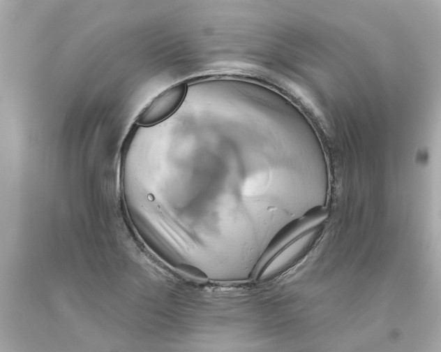 X0000091591275200709101033