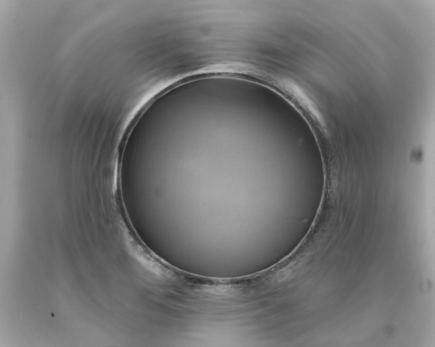 X0000091591276200709101033